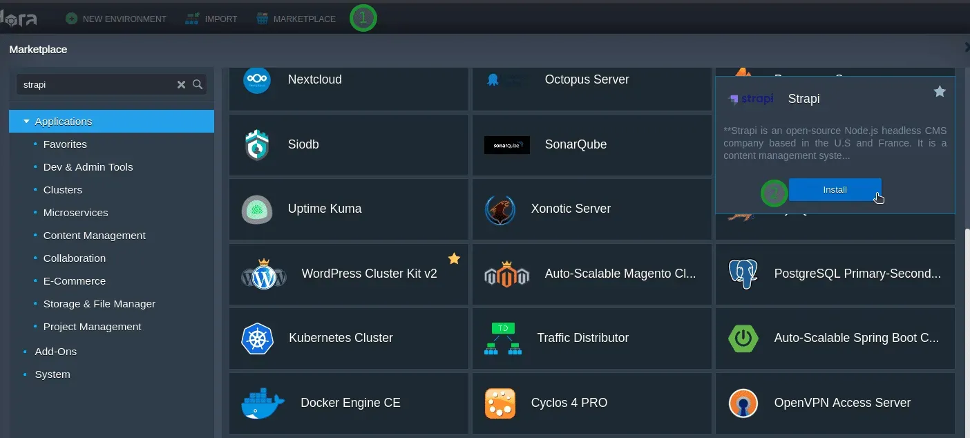 Swiss Cloud Illustration